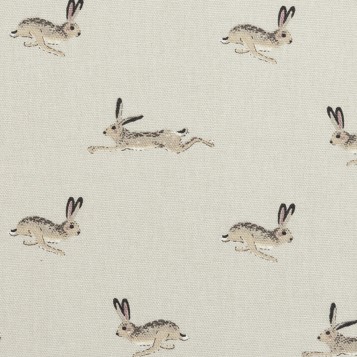 Hare